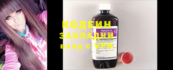 ПСИЛОЦИБИНОВЫЕ ГРИБЫ Вязьма