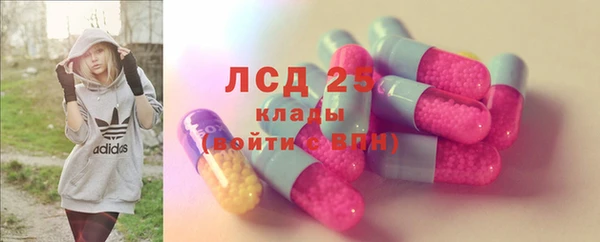 ПСИЛОЦИБИНОВЫЕ ГРИБЫ Вязьма