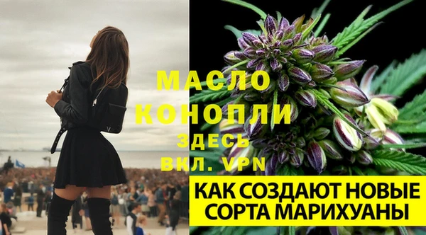 дмт Волосово