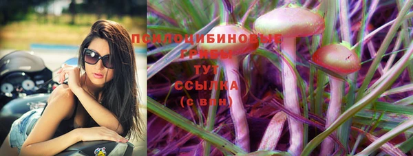 ПСИЛОЦИБИНОВЫЕ ГРИБЫ Вязьма