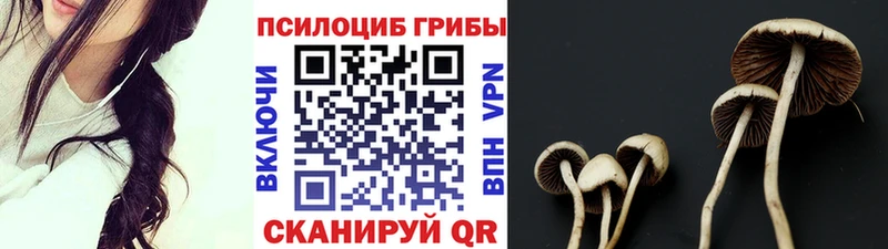 Галлюциногенные грибы прущие грибы  блэк спрут онион  Назарово 